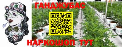 шишки Волжск