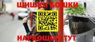 гашик Волжский