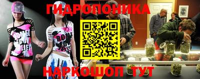 гашик Волжский